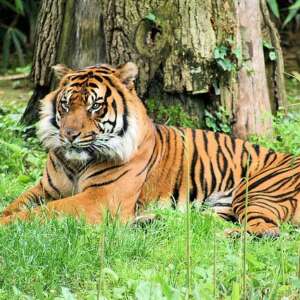 Smithsonian National Zoo Trip (7/29)